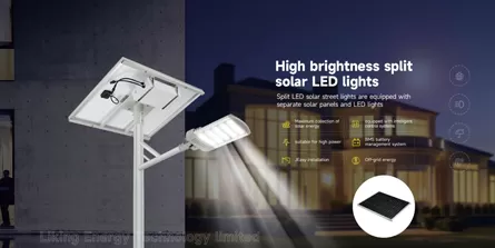 Perché scegliere di piacere come produttore di lampioni solari divisi?